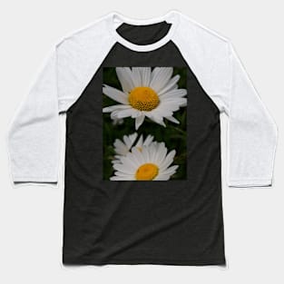 Ox-Eye Daisies Baseball T-Shirt